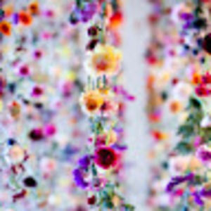 Meet your Posher, Musicislife